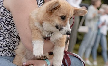 Фестиваль для любителей домашних животных Pets Fest пройдет в Минске